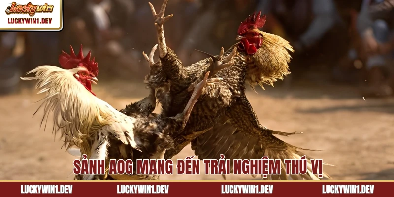 Sảnh AOG mang đến trải nghiệm thú vị